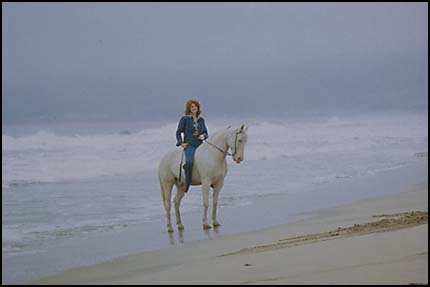 Woman riding horse on beach