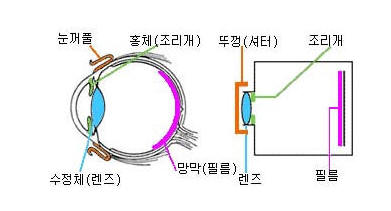 조리개 비교